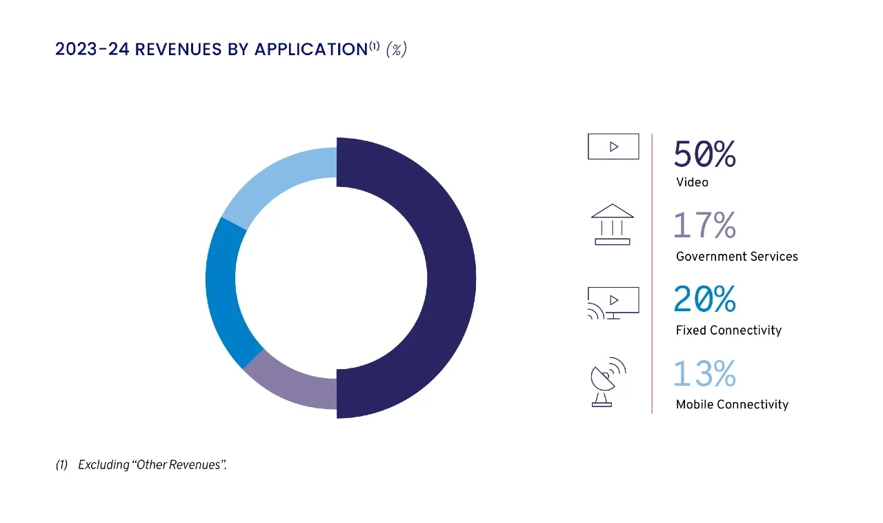 Investors Revenue by Application EN Infographic