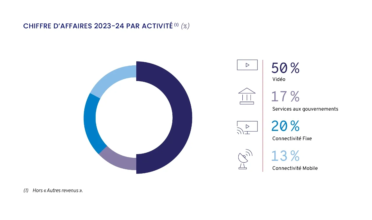 Investors Revenue by Application FR Infographic