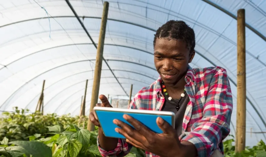 African farmer using his tablet on site